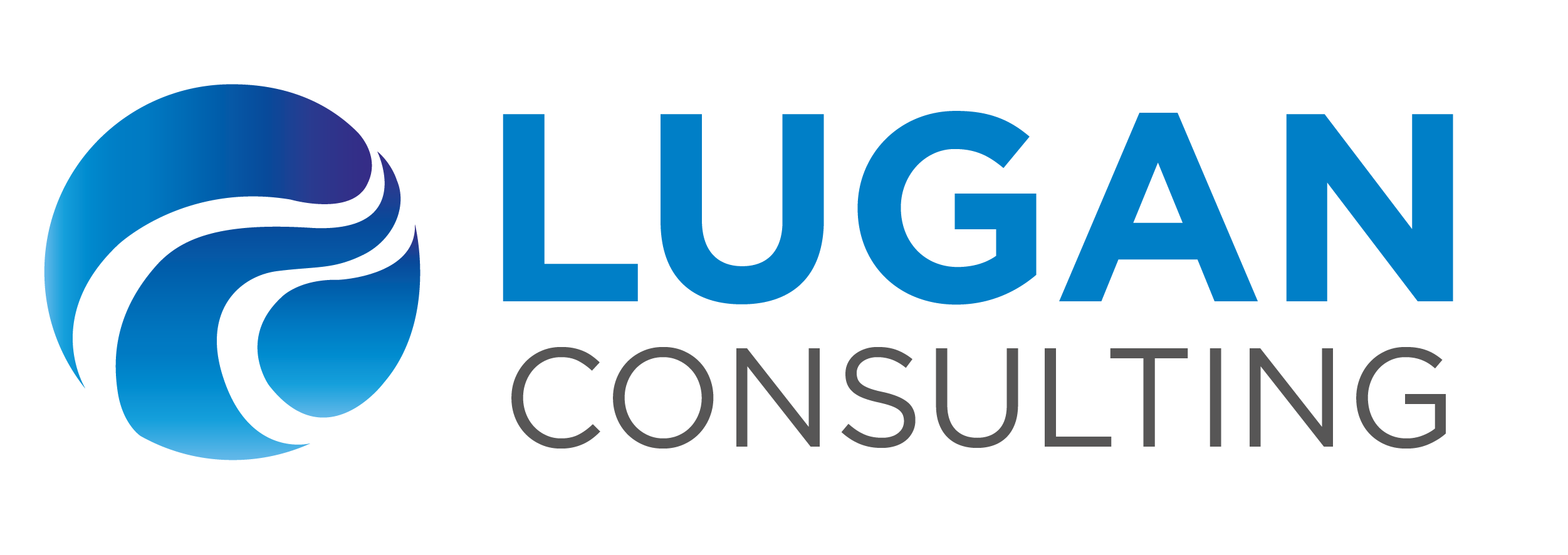 Audit et consulting Lugan Consulting