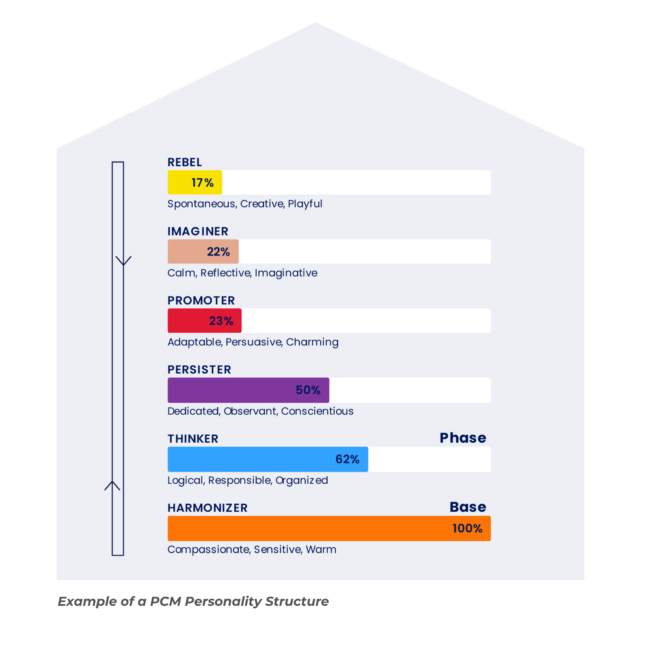 PCM : exemple of structure of a personality